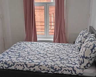 T2 Renovated Lille center - Lille - Bedroom