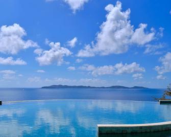 The Aerial Bvi - Buck Island - Pool