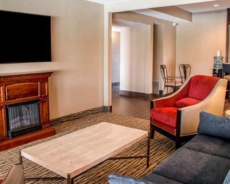 Comfort Suites New Braunfels - San Antonio Area - New Braunfels - Wohnzimmer