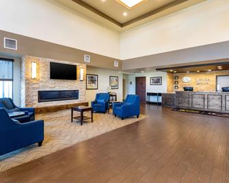 Comfort Suites Near Denver Downtown - דנבר - לובי