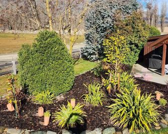 Studio on Martin Lane - Wanaka - Outdoor view