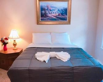 Beautiful Apartment in Historic Downtown Location - Greensboro - Bedroom