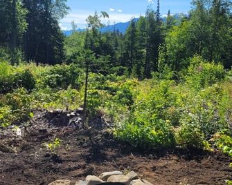 Rara's secret nest - New Aiyansh - Outdoors view