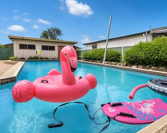 Cessnock/Coal D` Vine Chillout - Cessnock Nsw - Cessnock - Zwembad