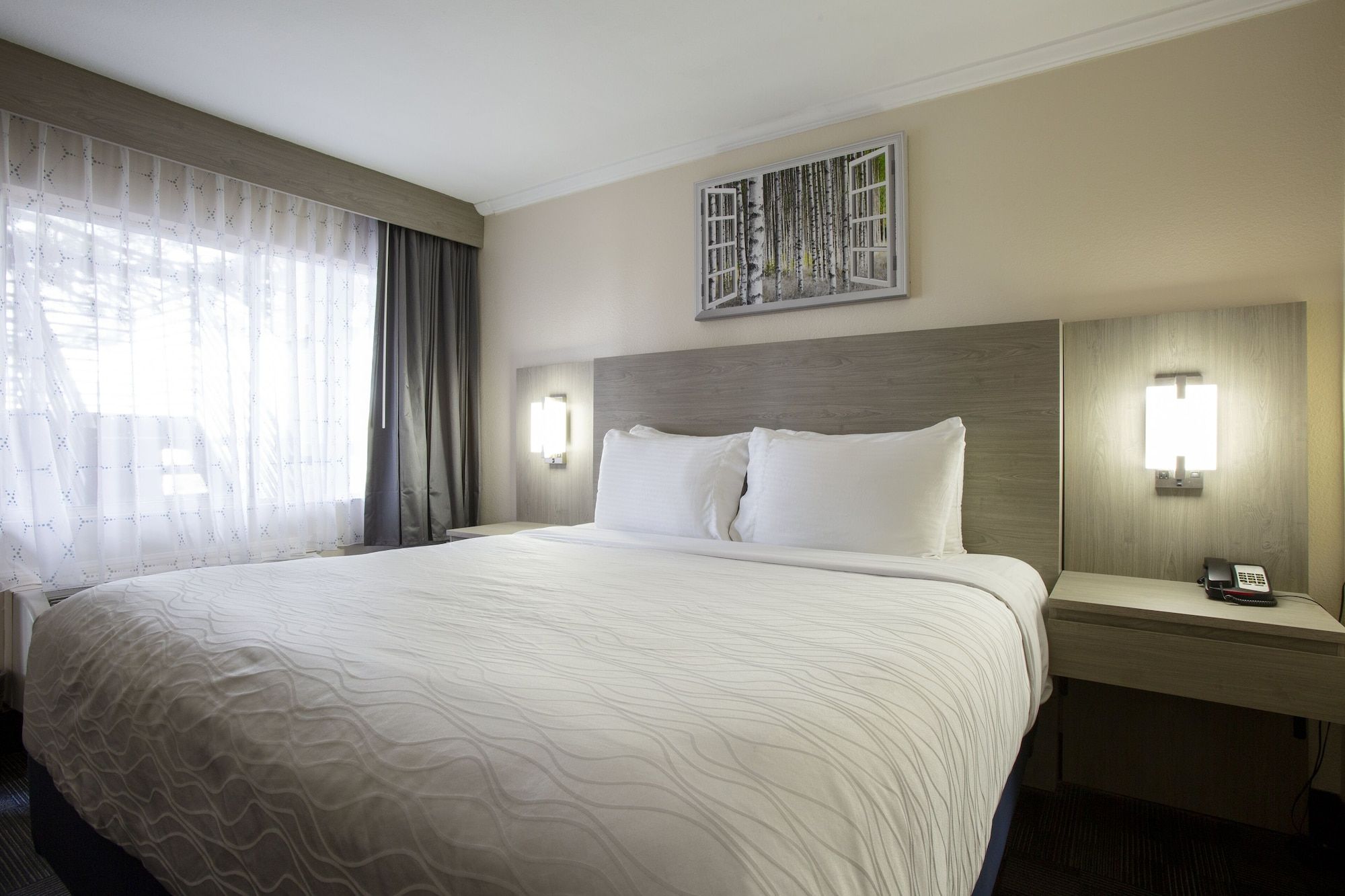 Hotel Aspen Innsuites Flagstaff/Grand Canyon - פלגסטאף