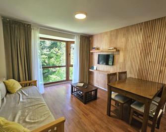 Family Getaway Just a Few Blocks from the Bariloche Center - San Carlos de Bariloche - Stue