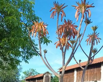 Quinta Da Penela - Cantelães