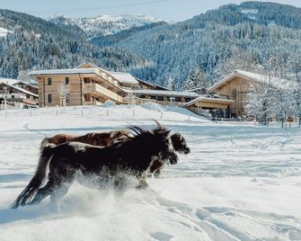 Mariengut - Aparthotel Kramer - Wagrain