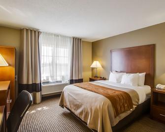 Comfort Inn & Suites Bellevue - Omaha Offutt Afb - Bellevue - Slaapkamer
