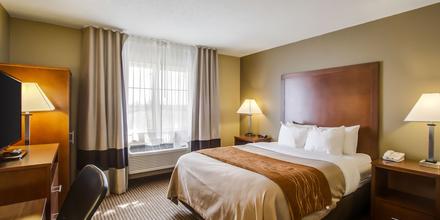 Image of hotel: Comfort Inn & Suites Bellevue