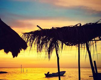 Casa Iguana Holbox - Holbox - Ranta
