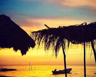 Casa Iguana Holbox - הולבוקס איילנד - חוף