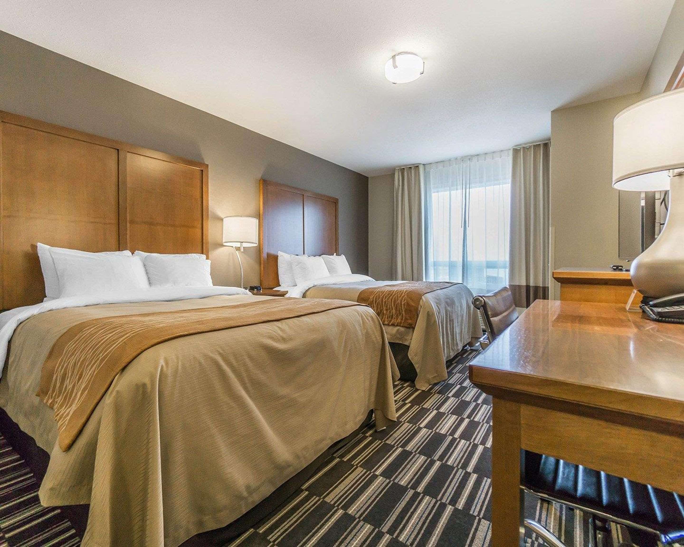 Comfort Inn & Suites Edmonton International Airport thumbnail 3