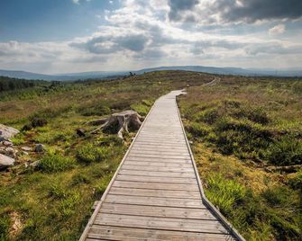 Trivia House Accomodation - Cavan - Outdoor view