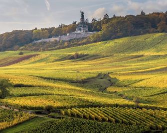 Weinhotel des Riesling Zum Grünen Kranz - Rüdesheim am Rhein - Udsigt