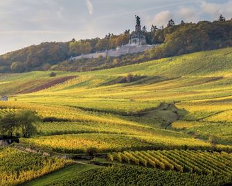 Weinhotel des Riesling Zum Grünen Kranz - Rudesheim am Rhein - Exterior