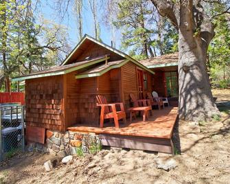 Rustic cabin in the woods w/ private hot tub & convenient location - dogs ok! - Idyllwild - Innenhof