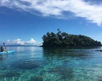 Raintree Cottage - Taveuni Island - Beach