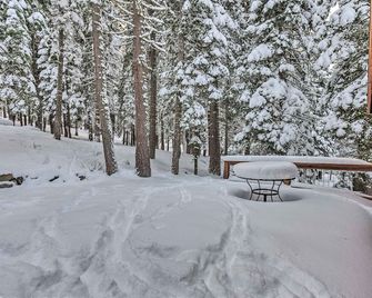 Tahoe Donner Mountain Cabin Surrounded by Forest! - Truckee - Outdoors view