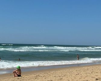 Great Mullein. Close To The Ocean, Pets Welcome! - Le Porge - Playa