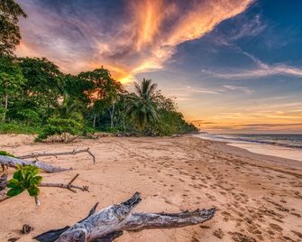 Oasis Bluff Beach - Bocas del Toro - Playa