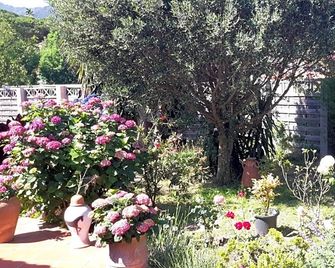La Chambre De Salome - Collioure - Outdoors view