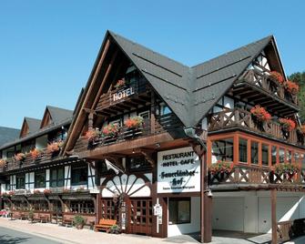 Hotel Sauerländer Hof - Willingen - مبنى