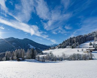 Feriendorf Wildschönau near sauna - Wildschönau