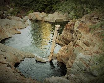 7 Days - 6 Nights! Explore Lost Sierra @ Forest & Farm On Biodynamic Farmstead - Portola - Piscina