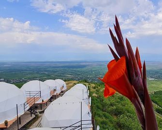 Signagi Glamping - 시그나기