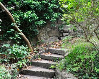 Art Hotel & Hostel - Πάσσαου - Θέα στην ύπαιθρο