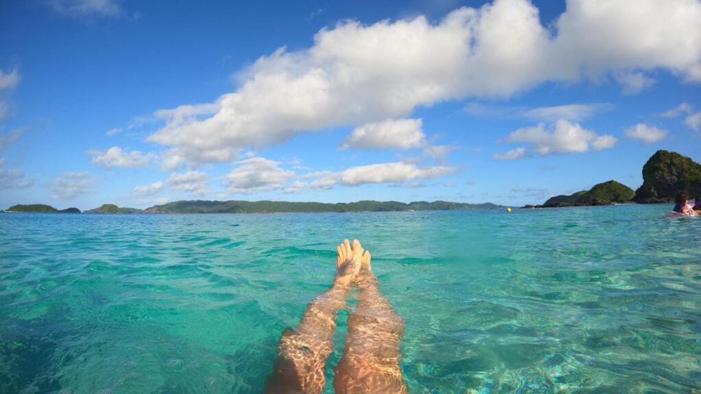 زاماميا إنترناشونال جيست هاوس - دار ضيافة