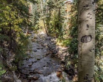 Forest Creek Cabin- Beautiful Mountain Getaway! - Monarch - Vista del exterior