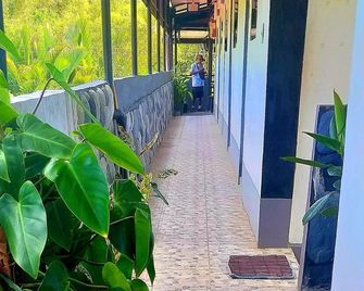 Ysraela Lodging House - Sabang - Baler - Vista del exterior
