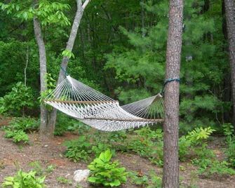 Oso Suite - A Bear-y Nice Cabin - Hot Tub, Internet, Fire Pit, Views - Young Harris - Patio