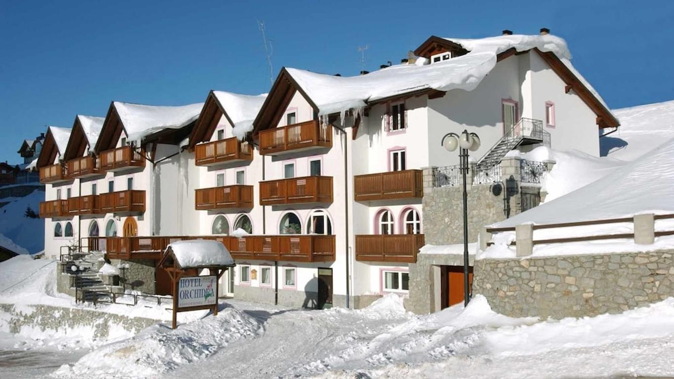 هوتل أوركيديا