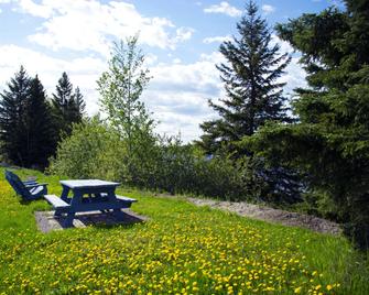 Motel Moreau - Saint-Félicien - Patio