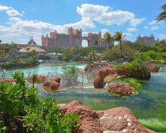 1 Bedroom Deluxe - Harborside Resort at Atlantis - Full Resort Access - Nassau - Utomhus