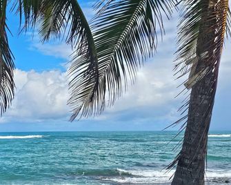 Spacious Oceanfront Villagame Room Bar, XL Balcony, Parkfamily &groups Retreat - Hatillo - Playa