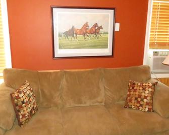 A Step Back In Time With The Comfort Of Today. Not Fancy But Affordable - Blacksburg - Stue