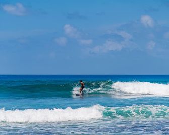 Aasna Inn - Thulusdhoo