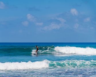 Aasna Inn - Thulusdhoo