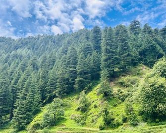 Barot Palace - Barot - Vista del exterior