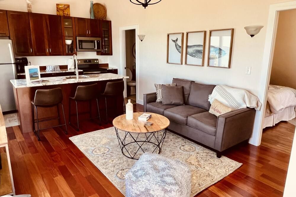 Ocean Sunsets and More! See Beautiful Johnson's Bay - Lubec - Living room