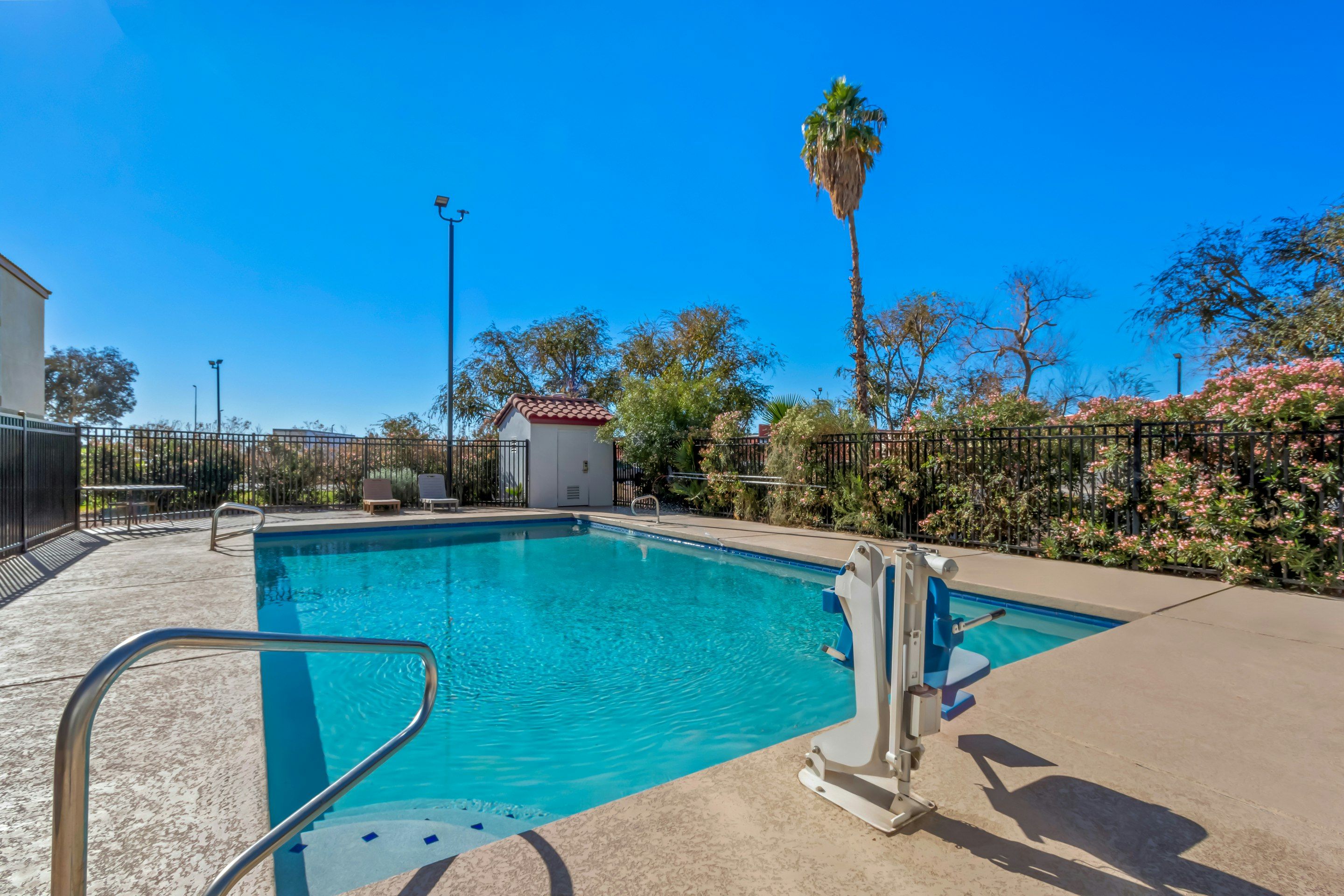 Red Roof Inn Phoenix North - I-17 at Bell Rd - פיניקס - בריכה