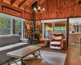 Buck's Cabin near Brevard, NC Dog Friendly Wood stove, mtn views in forest. - Brevard - Living room