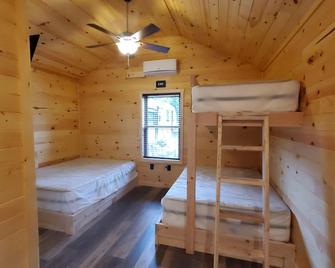 Crooked Creek Cabin 6 - Tiny cottage for family and friends, creek access - Gaines - Bedroom