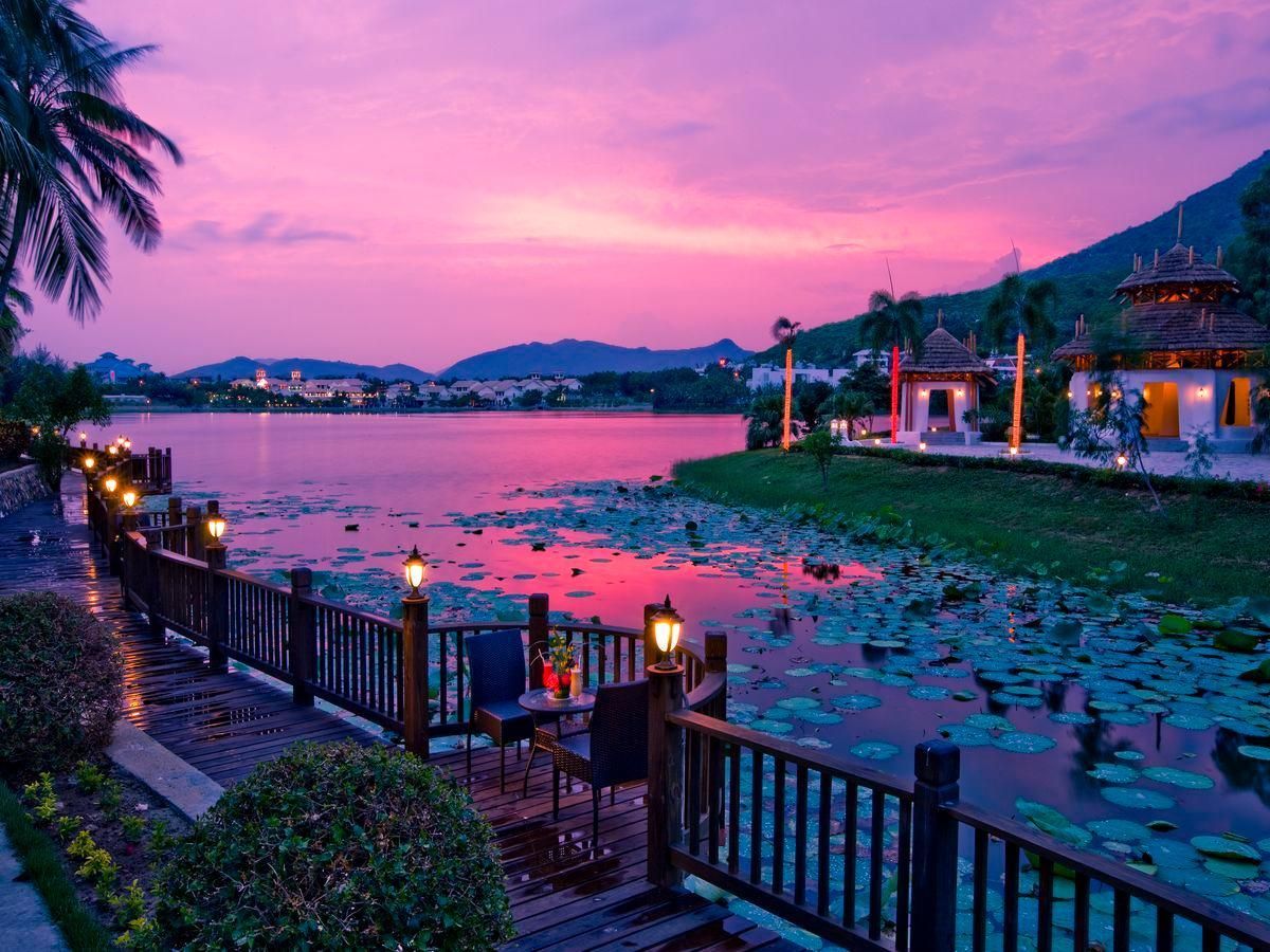 ريزورت جولدن بالم سانيا