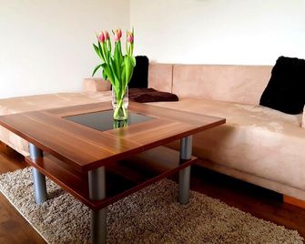 Ferienwohnung An Der Elbfaehre - Dresde - Sala de estar