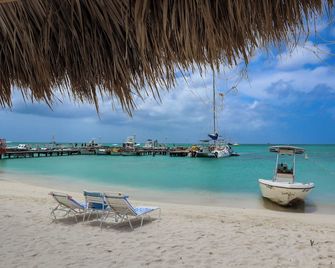 Marriott's Aruba Surf Club, 1 bedroom, Full kitchen, Oceanside, Balcony - Noord - Bãi biển